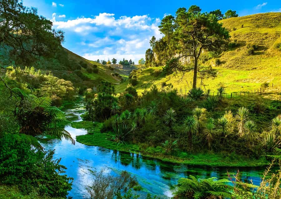Hobbiton Movie Set Tour to Blue Springs and Waitomo caves - Who should book this tour, and who should think twice