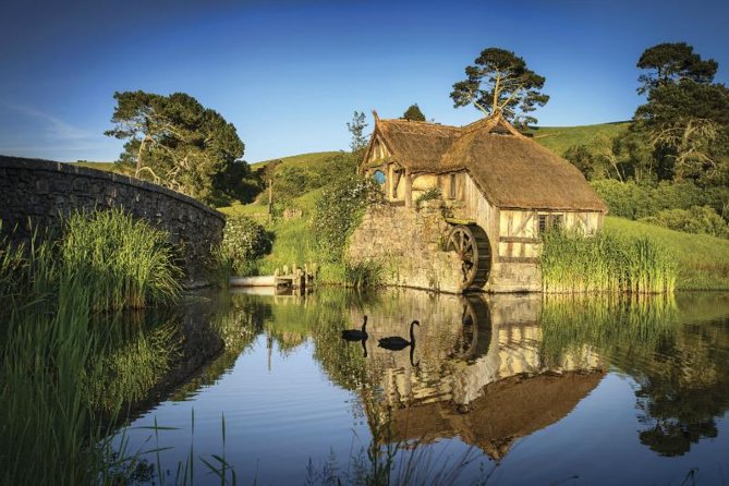 Hobbiton & Waitomo Caves Guided Day Trip from Auckland incl lunch - A one-day plan that actually makes sense