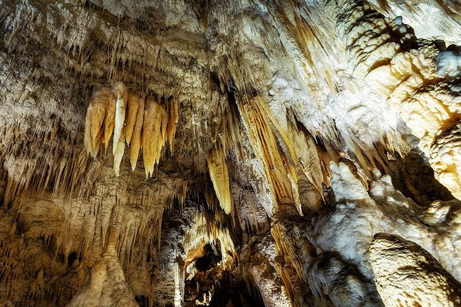 Hobbiton & Waitomo Caves Small Group Tour from Auckland inc Lunch - The return drive to Auckland: relaxing, but expect hidden stops