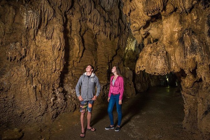 Hobbiton & Waitomo Caves Small Group Tour from Auckland inc Lunch - Price and value: what you get for $235.20 per person
