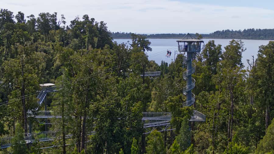 Hokitika: West Coast Tree Top Tower Zip Line and Walk - Key Points
