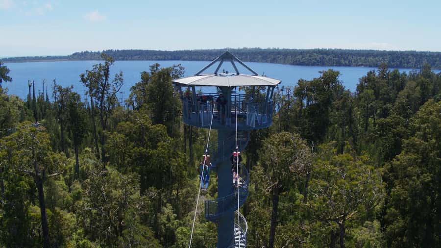 Hokitika: West Coast Tree Top Tower Zip Line and Walk - Checking in at 1128 Woodstock-Rimu Road and what you’ll actually do first