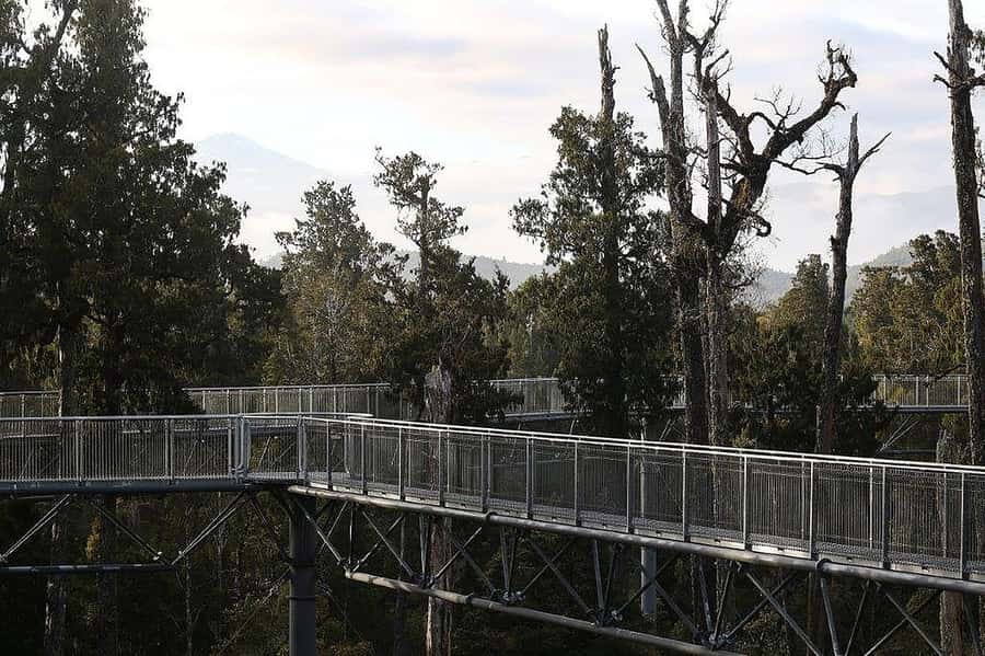 Hokitika: West Coast Treetop Walkway Entrance Ticket - Why Hokitika Tower Is Worth the Climb (and Why It Changes the View)