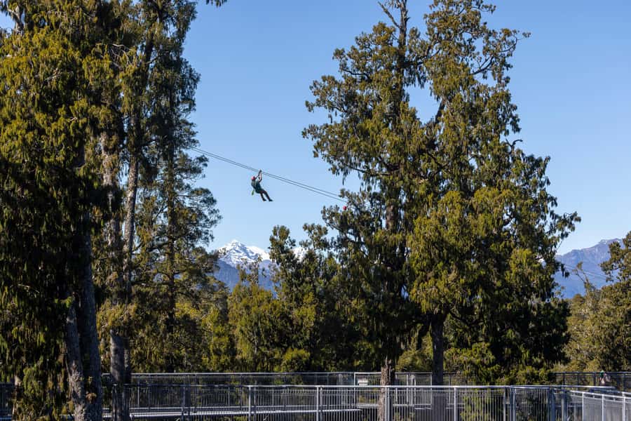 Hokitika: West Coast Treetop Walkway Entrance Ticket - The Walk in Real Time: What the 1 Hour Feels Like