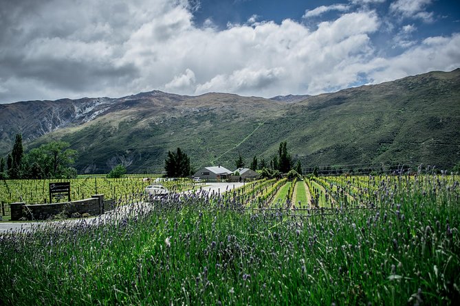 Hop on Hop off Wine Tours Queenstown - Queenstown to Central Otago, minus the driving stress