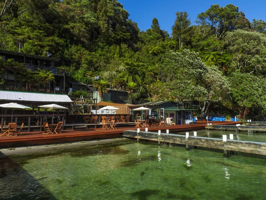 Hot Pools Kayak & Evening Barbecue - Price and what $130 really buys you