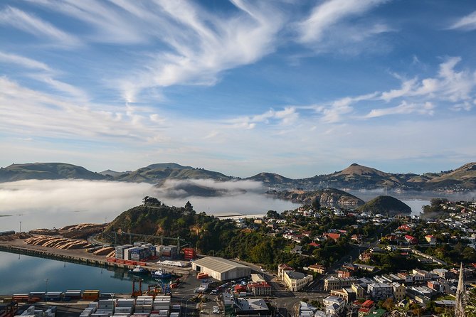 Iconic Shore Excursion: Dunedin City Highlights Tour - Key things I’d watch for