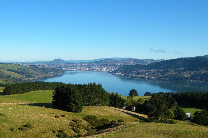 Iconic Shore Excursion: Dunedin City Highlights Tour - Olveston gardens and Speights Brewery, where the stops feel local