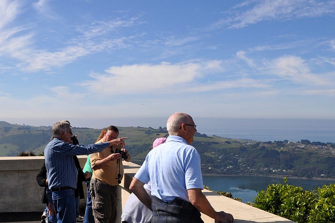 Iconic Shore Excursion: Dunedin City Highlights Tour - Price and value: why $61.44 can make sense for cruise days