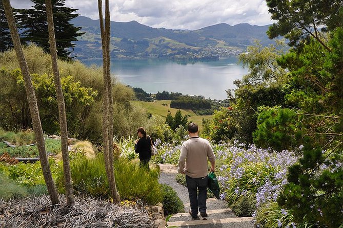 Iconic Shore Excursion: Iconic Larnach Castle Tour - Port Chalmers pickup and the cruise-friendly flow