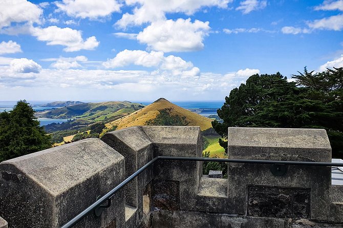 Iconic Shore Excursion: Iconic Larnach Castle Tour - Baldwin Street and the University area, quick stops with real personality