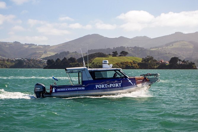 Iconic Wildlife Tour with Yellow Eyed Penguins & Royal Albatross - The long Otago Peninsula drive: lookouts, wildlife chances, and scenery with context