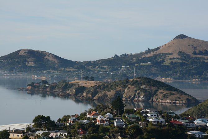 Iconic Wildlife Tour with Yellow Eyed Penguins & Royal Albatross - Baldwin Street and Dunedin Railway Station: the city moments that give contrast
