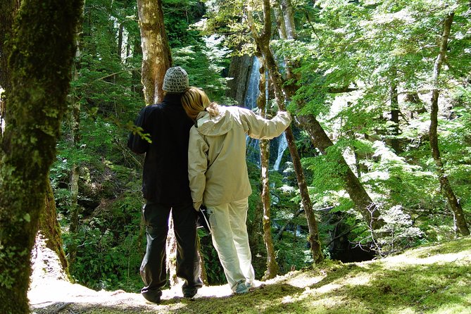 Jet Boat and Wilderness Walk Tour from Wanaka - Price and value in plain terms