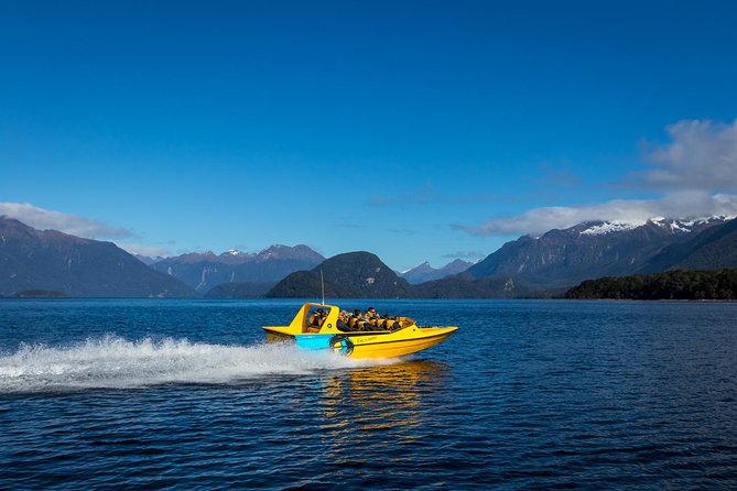 Jet Boat Journey through Fiordland National Park - Pure Wilderness - Key Highlights You’ll Care About