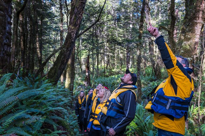Jet Boat Journey through Fiordland National Park - Pure Wilderness - When to Go, What to Wear, and How to Prep