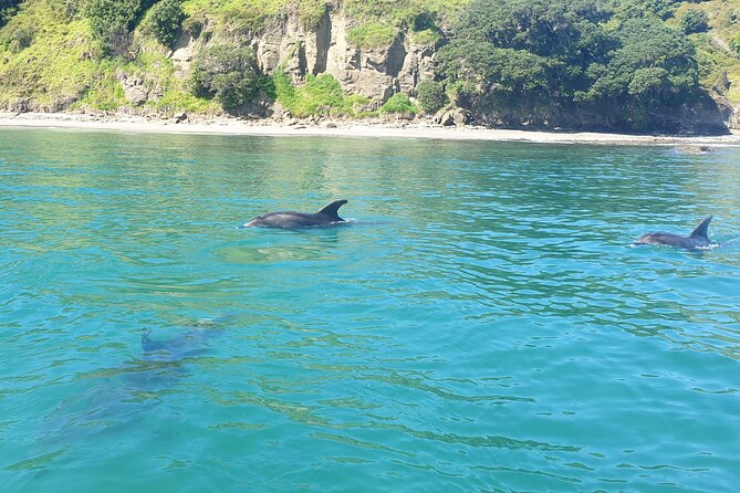 Jet Ski Hire Auckland - Experience the Fun with the Best Operator - Jet ski fishing and sea biscuits: add-ons that change the vibe