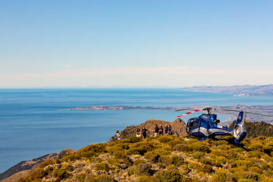 Kaikoura: 1-Hour Whale Watching Helicopter Tour - Quick Reality Check: What Can Change