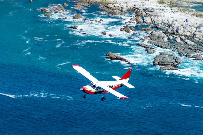 Kaikoura: Coastal and Alpine Scenic Airplane Flight - Why this 25-minute flight is the best Kaikoura shortcut