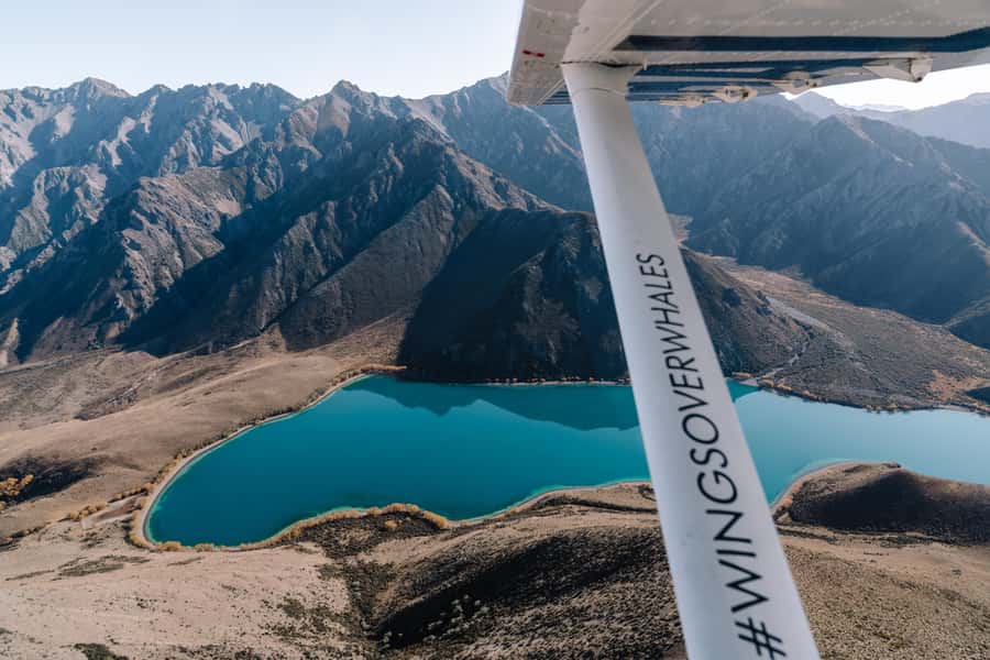 Kaikoura: Extended Flight Whale Watching & Mountain Tour - Why Kaikoura Works So Well From Above