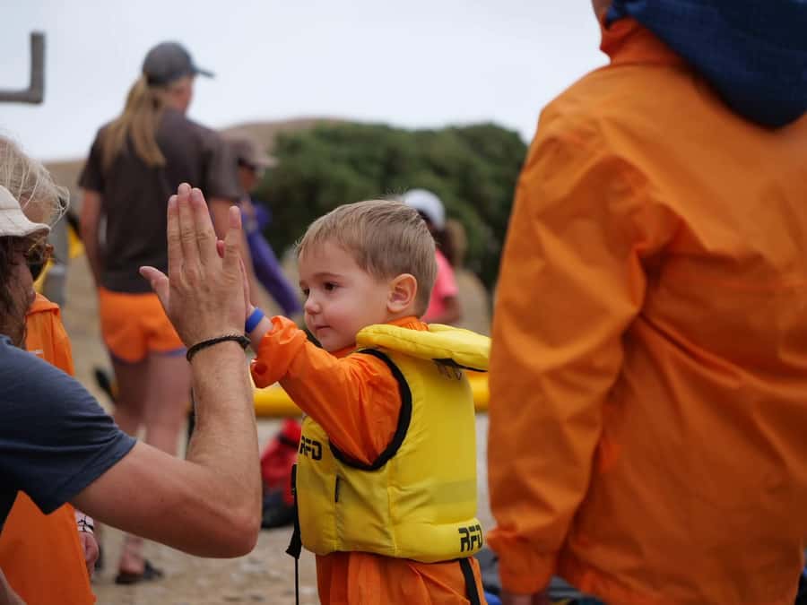 Kaikoura: Guided Family Kayaking Adventure - Key Highlights You Will Feel on Day One
