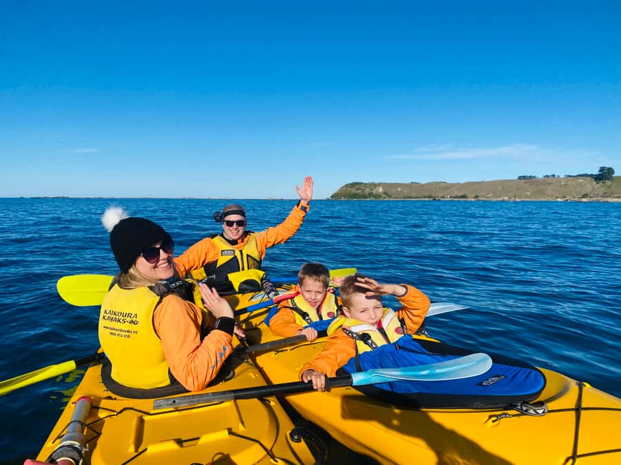 Kaikoura: Guided Family Kayaking Adventure - Should You Book This Kaikoura Kayaking Adventure?
