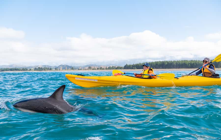 Kaikoura: Guided Family Kayaking Adventure - Why Kaikoura Looks Better From the Water