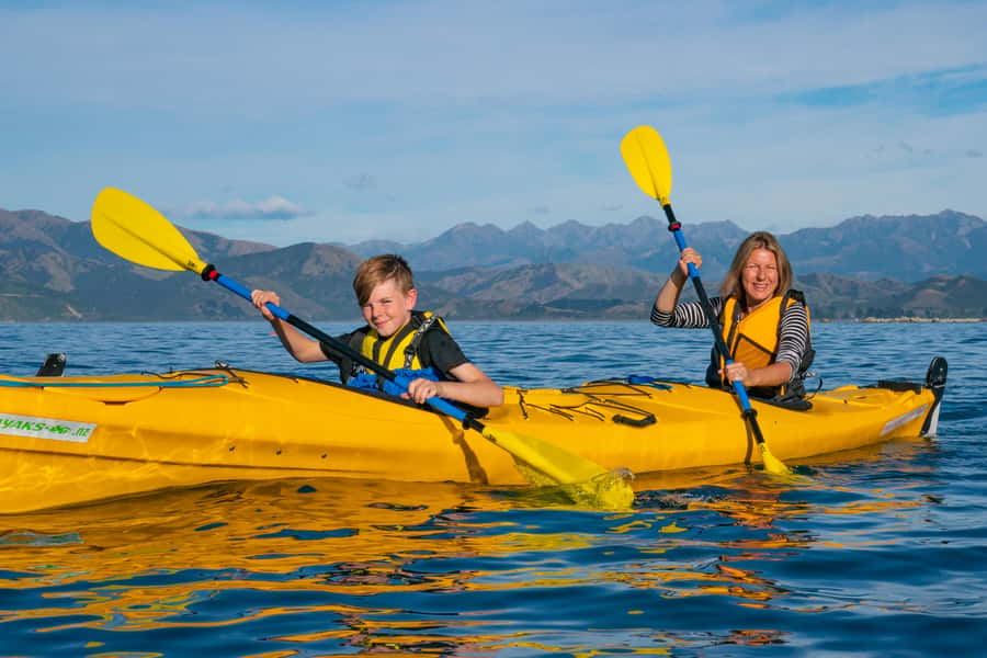 Kaikoura: Guided Family Kayaking Adventure - Clothing and Safety: The Stuff That Makes or Breaks Comfort