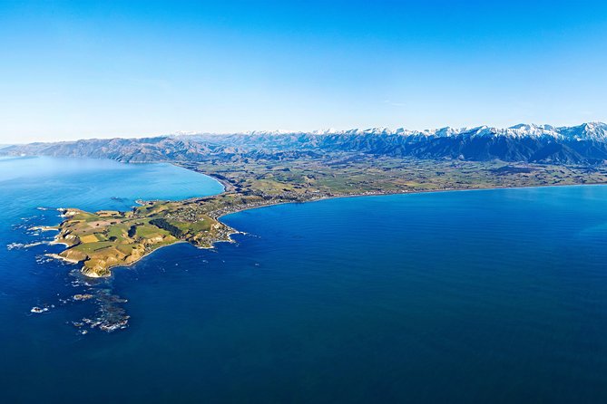 Kaikoura Helicopters Classic Whale Watch - From the beachfront helipad to the deep-sea canyon: how the 30 minutes work