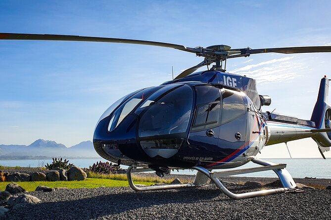 Kaikoura Helicopters Extended Whale Watch - Price and value: what $313.39 buys you in Kaikoura