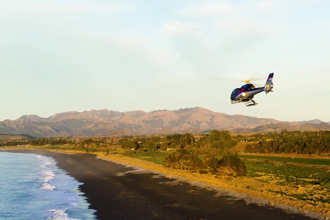 Kaikoura Helicopters Extended Whale Watch - Weather reality and what to bring so you can enjoy the day