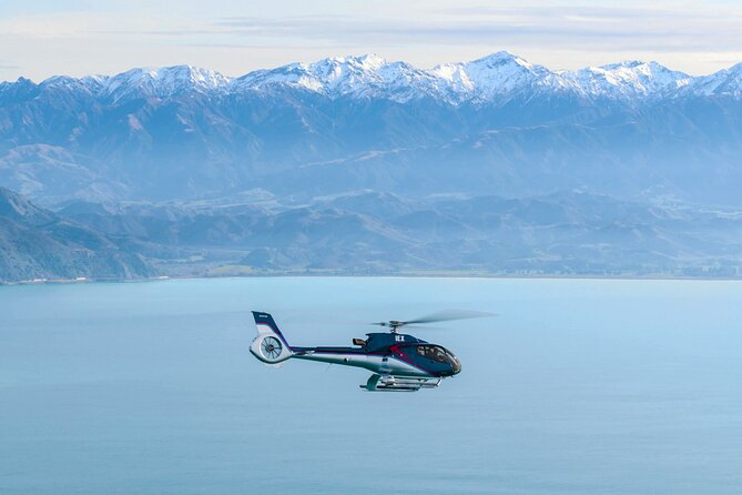 Kaikoura Helicopters Top n Tail Whale Watch flight - Key things I’d watch for on this flight