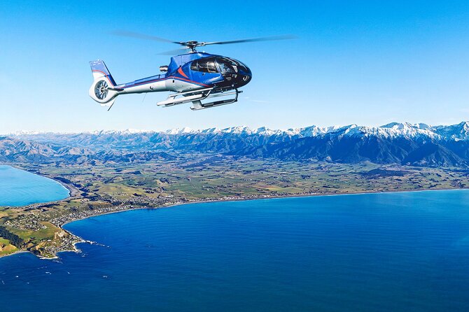 Kaikoura Helicopters Top n Tail Whale Watch flight - Live pilot commentary, clear spotting, and that personal feel