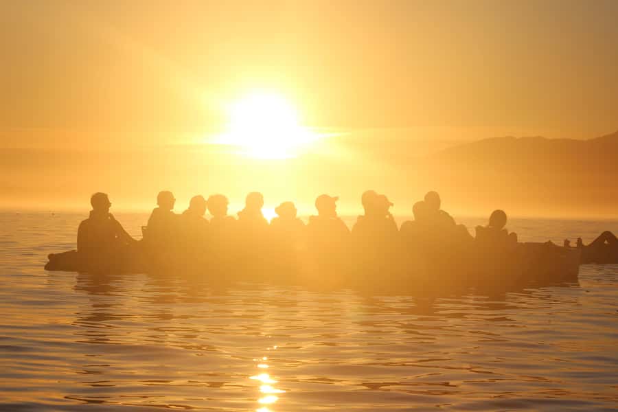 Kaikōura: Kayak Sunset Tour with Seal Sightings - Key highlights to know before you go