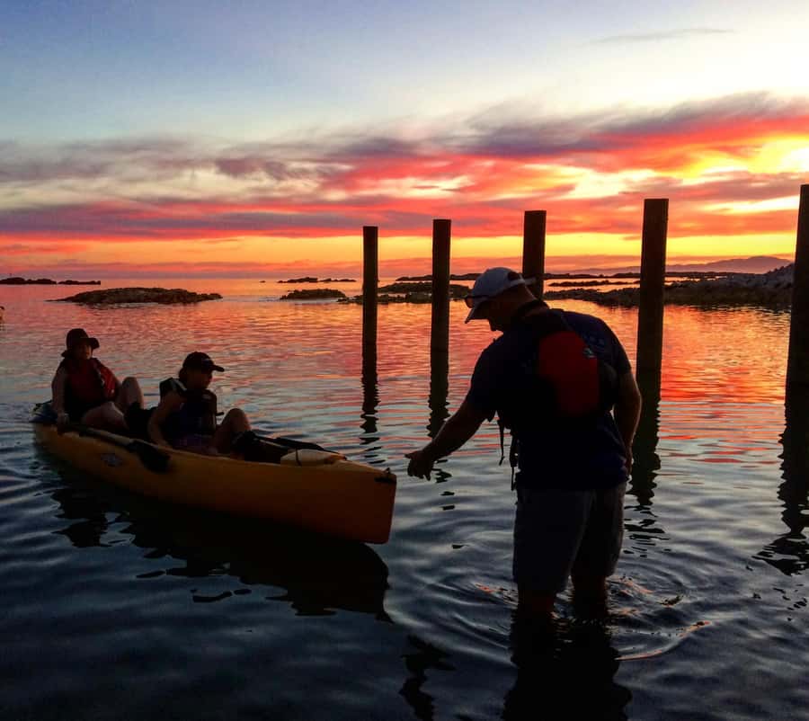 Kaikōura: Kayak Sunset Tour with Seal Sightings - Safety Briefing First, Then You Glide Into Sunset Mode