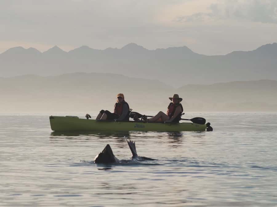 Kaikōura: Kayak Sunset Tour with Seal Sightings - Gear, Clothing, and How to Stay Comfortable When It Gets Choppy
