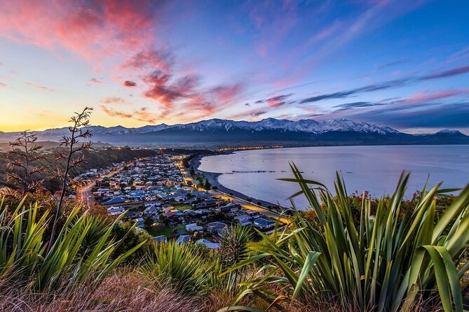 Kaikoura Private Whale Watching Day Trip from Christchurch - Optional whale cruise tickets and the sperm whale focus
