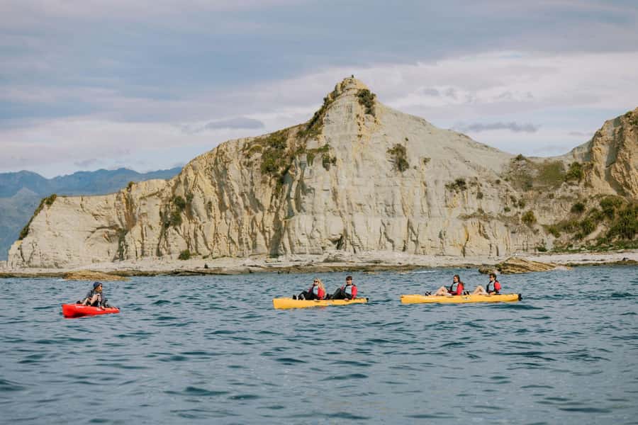 Kaikoura: Seal-Watching Pedal Kayak Tour - Should you book Seal Kayak Kaikoura?