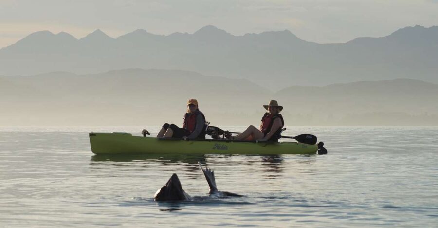 Kaikoura: Seal-Watching Pedal Kayak Tour - Photo help that feels personal, not just a random souvenir
