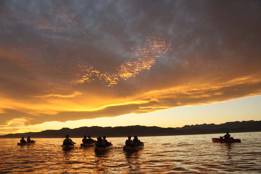Kaikoura: Seal-Watching Pedal Kayak Tour - Who this tour suits best, and who should skip it