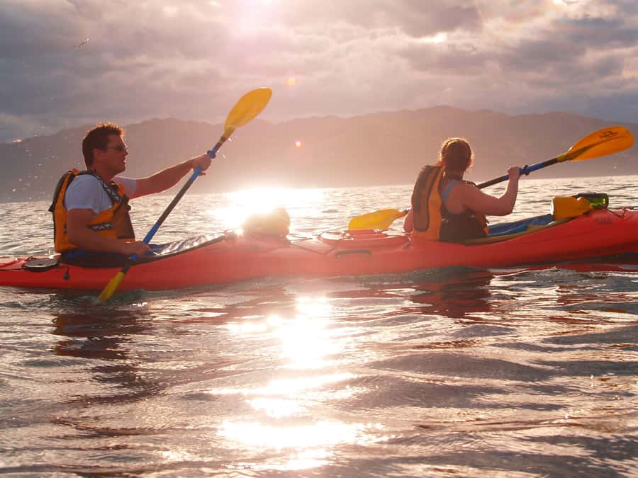 Kaikoura: Sunset Evening Kayaking Tour - The fur seal guarantee, and what you should expect to see