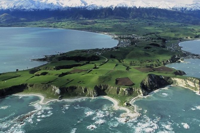 Kaikoura Swim with Dolphins Tour from Christchurch - Hotel pickup and the North Canterbury drive you do not have to manage