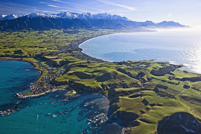 Kaikoura Whale Watch Day Tour from Christchurch - Key points that make this day trip work