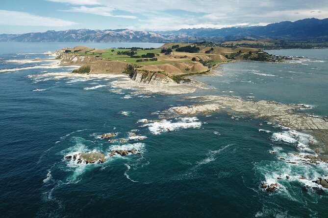 Kaikoura Whale Watch Tour from Christchurch - Small Group - A full day drive with real wildlife stops
