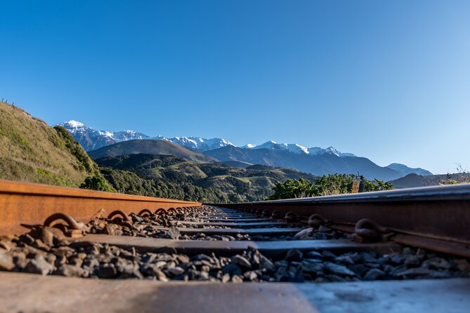Kaikoura Whale Watch Tour from Christchurch - Small Group - Waipara Hills wine tasting when timing permits