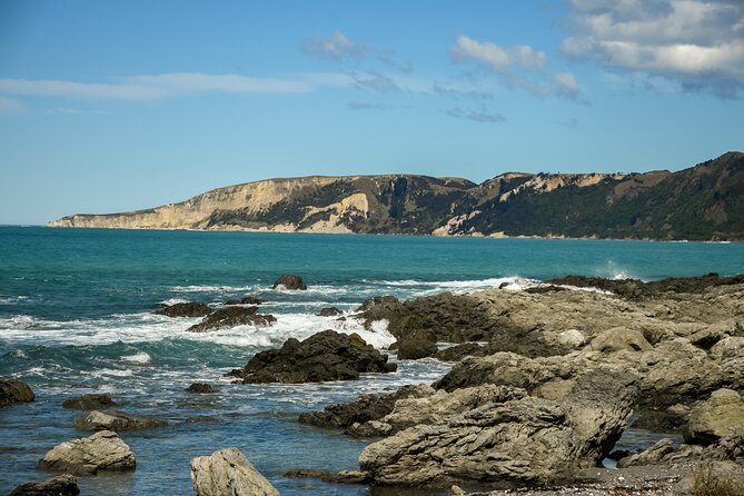 Kaikoura Whale Watch Tour from Christchurch - Small Group - Getting comfortable in the Mercedes Sprinter with WiFi and charging