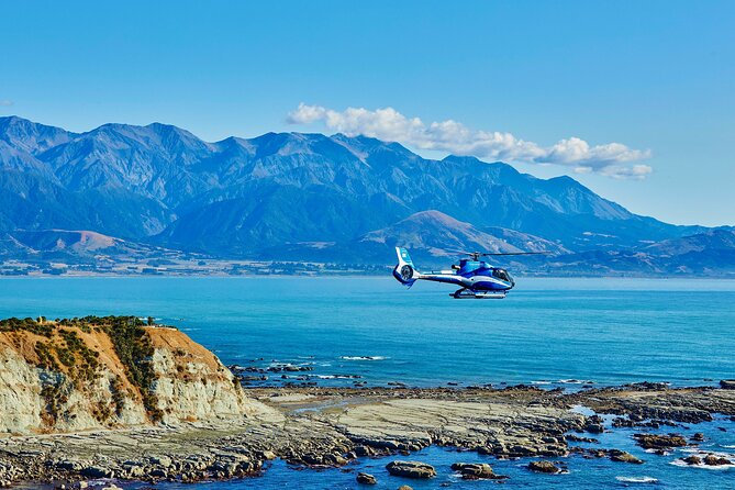 Kaikōura Whale Watching - 1hr 20min Ultimate Adventure - Key points before you go