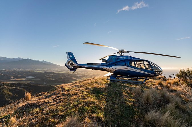 Kaikoura Whale Watching - 45 Minute Ocean Safari - The remote hilltop landing: the view you do not get from sea level