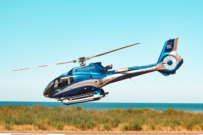 Kaikoura Whale Watching - 45 Minute Ocean Safari - Price and value: what $511.97 is really buying you