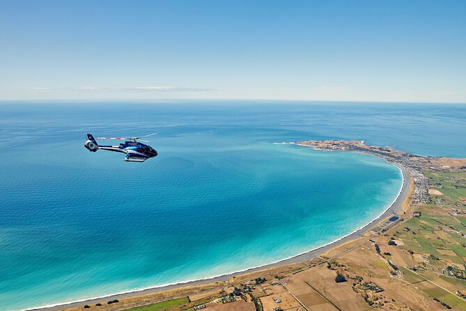 Kaikōura Whale Watching and Scenic Landing - 1hr Premier Tour - Who this tour suits best